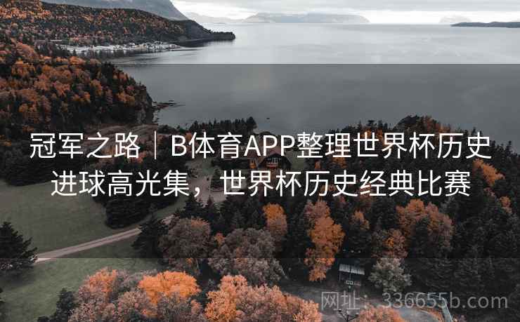 冠军之路｜B体育APP整理世界杯历史进球高光集，世界杯历史经典比赛  第2张