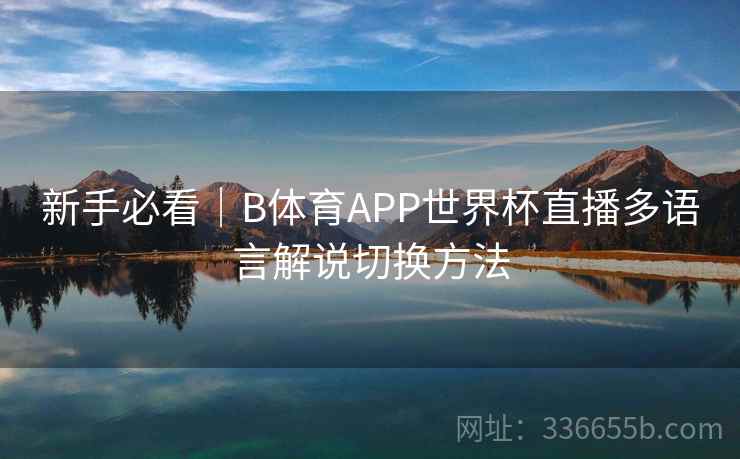 新手必看｜B体育APP世界杯直播多语言解说切换方法  第2张
