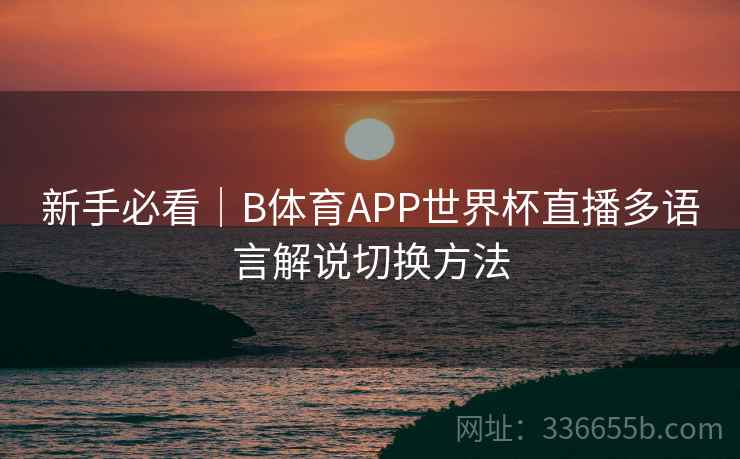新手必看｜B体育APP世界杯直播多语言解说切换方法