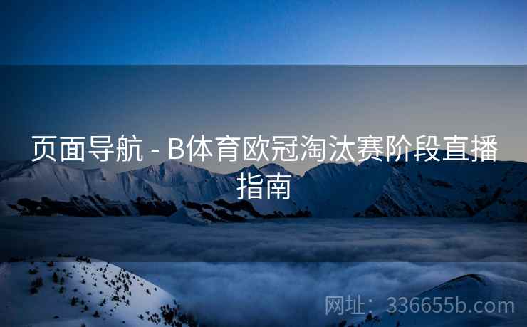 页面导航 - B体育欧冠淘汰赛阶段直播指南