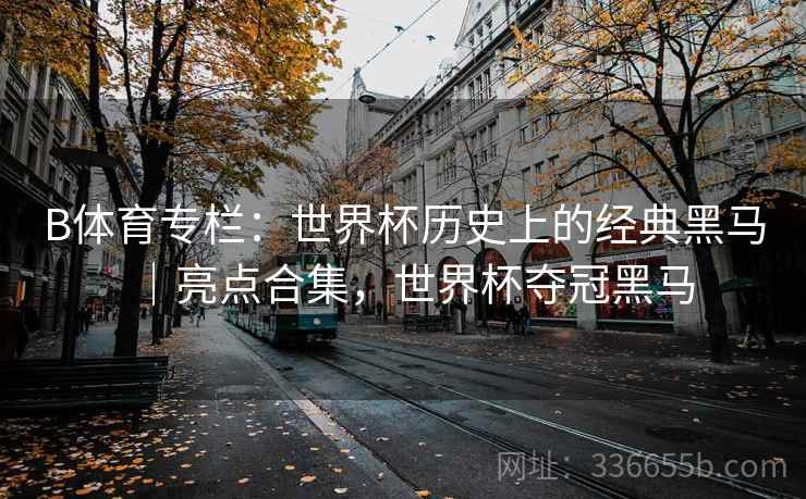 B体育专栏:世界杯历史上的经典黑马|亮点合集,世界杯夺冠黑马