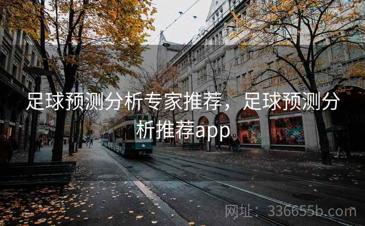 足球预测分析专家推荐,足球预测分析推荐app