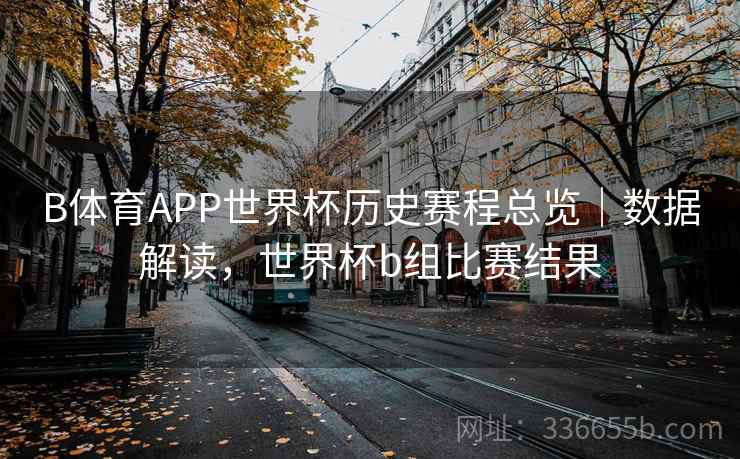 B体育APP世界杯历史赛程总览｜数据解读，世界杯b组比赛结果