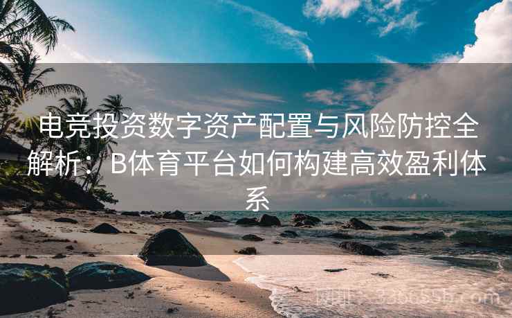电竞投资数字资产配置与风险防控全解析:B体育平台如何构建高效盈利体系